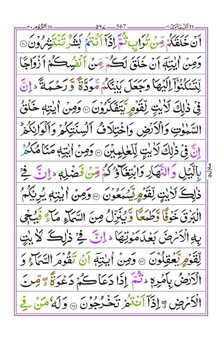 Surah-Room-Page-4