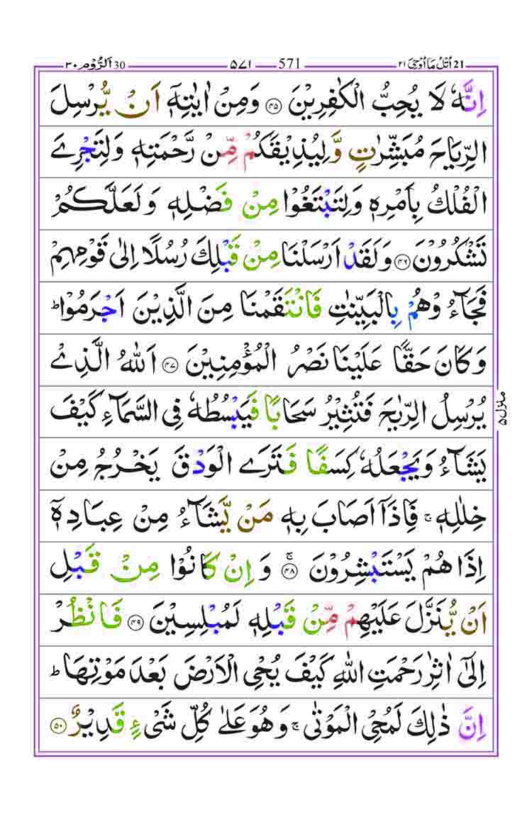 Surah-Room-Page-8